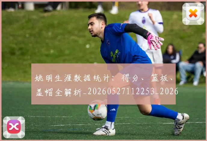 姚明生涯数据统计：得分、篮板、盖帽全解析_20260527112253_20260703232912_20260720192117