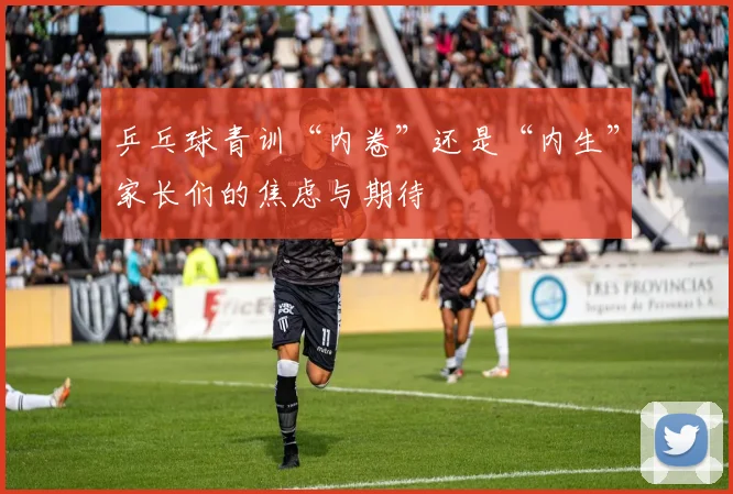 乒乓球青训“内卷”还是“内生”家长们的焦虑与期待